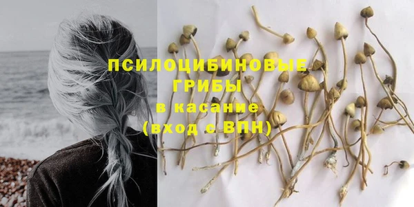 молекула духа Армянск