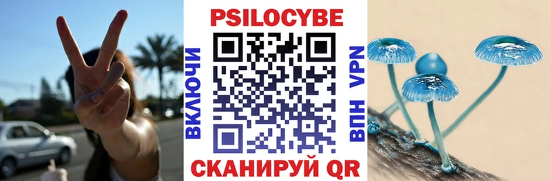 Псилоцибиновые грибы MAGIC MUSHROOMS Козьмодемьянск