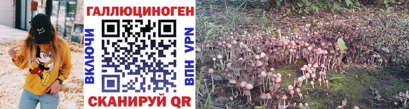 Псилоцибиновые грибы GOLDEN TEACHER  Козьмодемьянск 